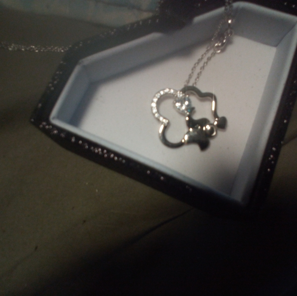 Sterling Necklace